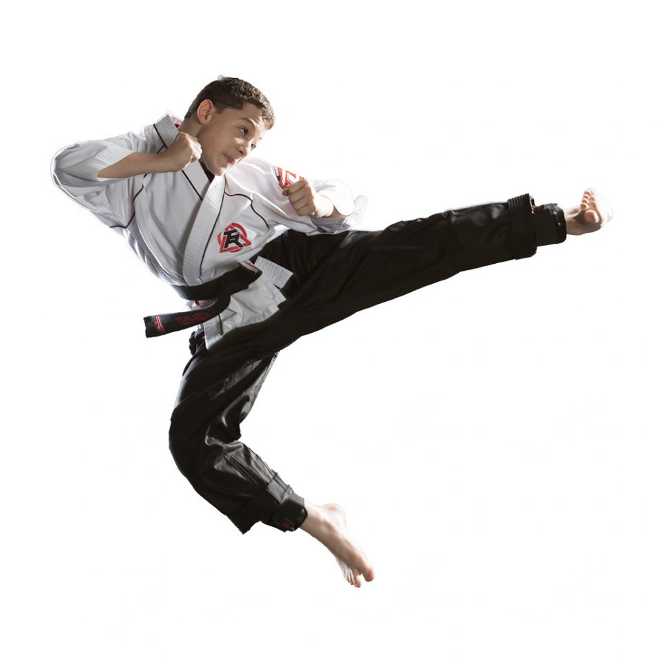 what is taekwondo